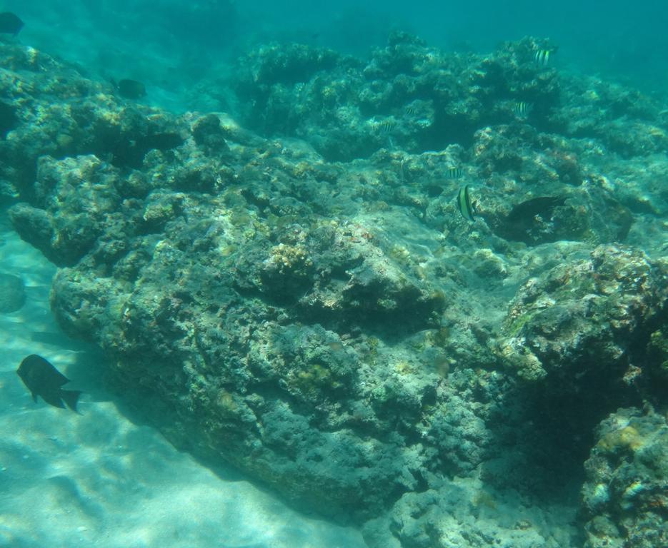 Wera Beach Kadumbul Экстерьер фото